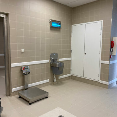 Carrelage mur et sol