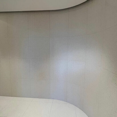 PATHE DIJON : aménagement d'un complexe cinématographique de 9 salles