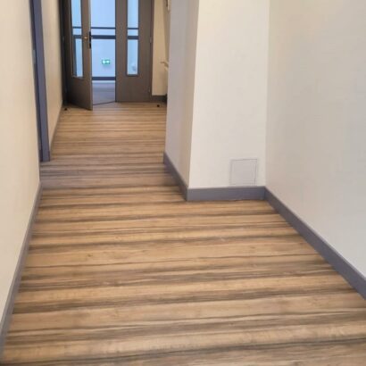 ST-MEDARD : travaux de peinture sur plinthes, portes et murs